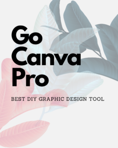 canva pro graphic design app